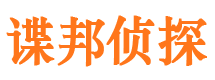 彭阳调查事务所